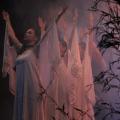 img-7054